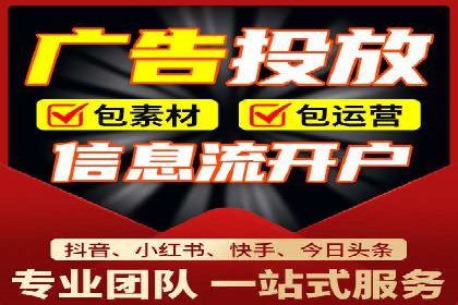 竞价排名与自然排名的对比案例