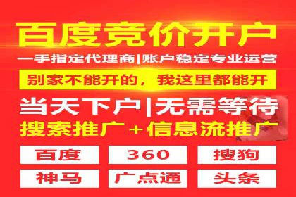 行业领先企业的网络推广与竞价经验