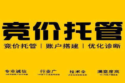 搜索引擎营销（SEM）的五大优化技巧及案例